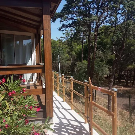 Alpstuga Exclusive Fin Aout Cosy 6 Pers, Clim, Piscine, Pinede, Parking, Calme Mediterranee *