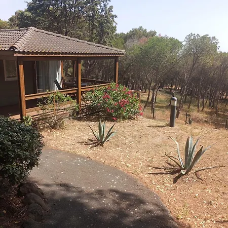 Exclusive Fin Aout Cosy 6 Pers, Clim, Piscine, Pinede, Parking, Calme Mediterranee *