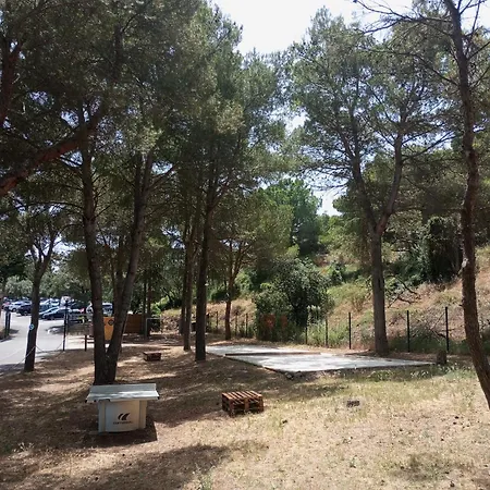 Chalet Exclusive Fin Aout Chalet Cosy Agde 6 Pers, Clim, Piscine, Pinede, Parking, Calme Mediterranee