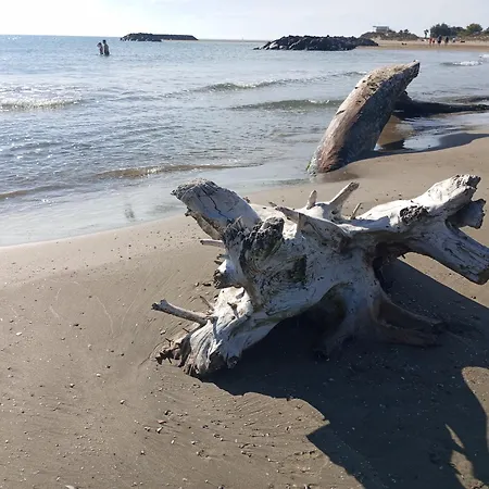 Exclusive Fin Aout Chalet Cosy Agde 6 Pers, Clim, Piscine, Pinede, Parking, Calme Mediterranee Chalet *